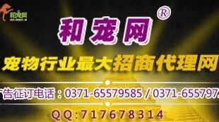 寵物食品行業(yè)新浪潮 線上招商代理與網(wǎng)絡(luò)銷(xiāo)售一體化趨勢(shì)探析